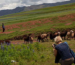 Tourists and small shepherds in Uros